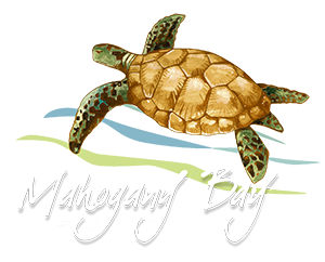 Mahogany Bay Cruise Center