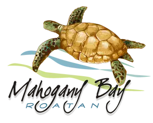 Mahogany Bay Cruise Center